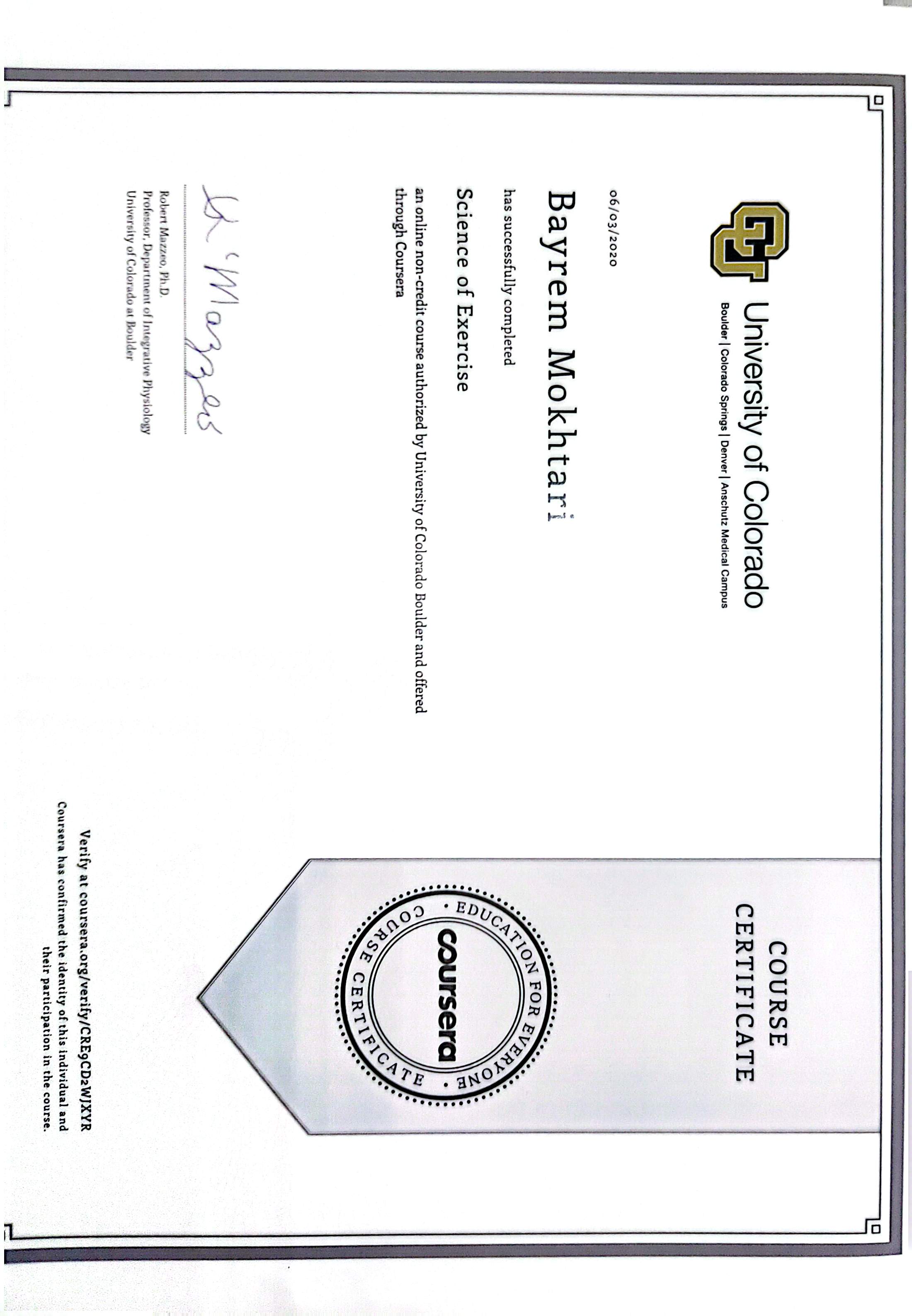 Diploma 29