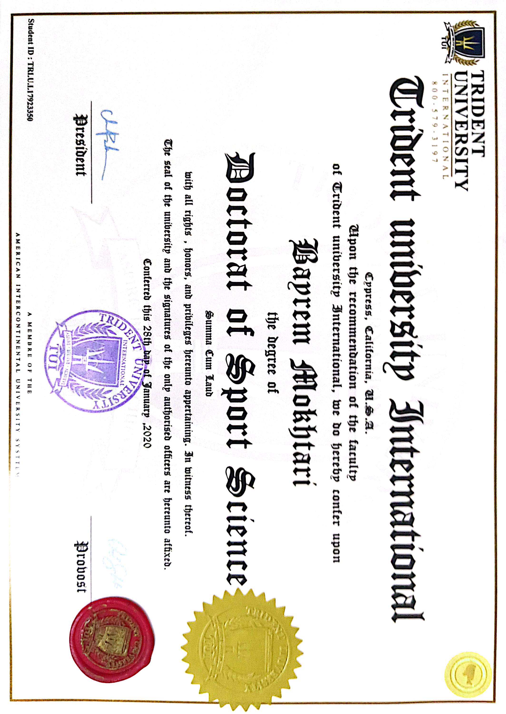 Diploma 19